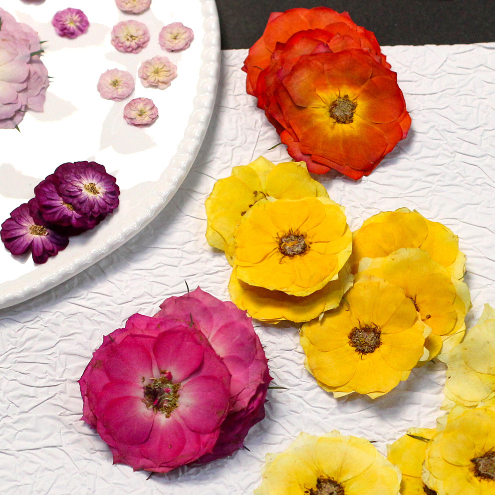 60 gele, gemengde maten gepers - Resin Craft Ideas recensie en prijs
