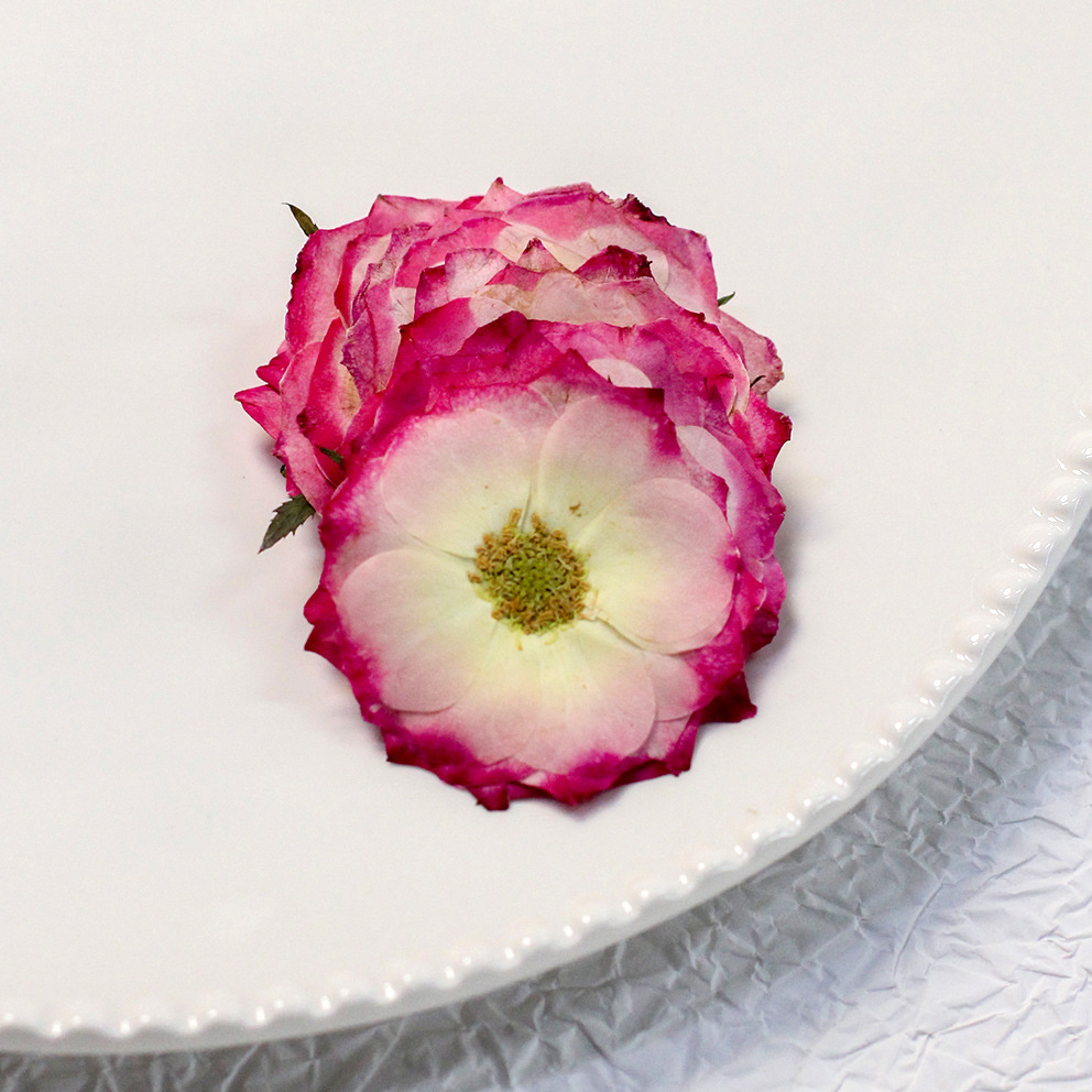 60 gele, gemengde maten gepers - Resin Craft Ideas recensie en prijs
